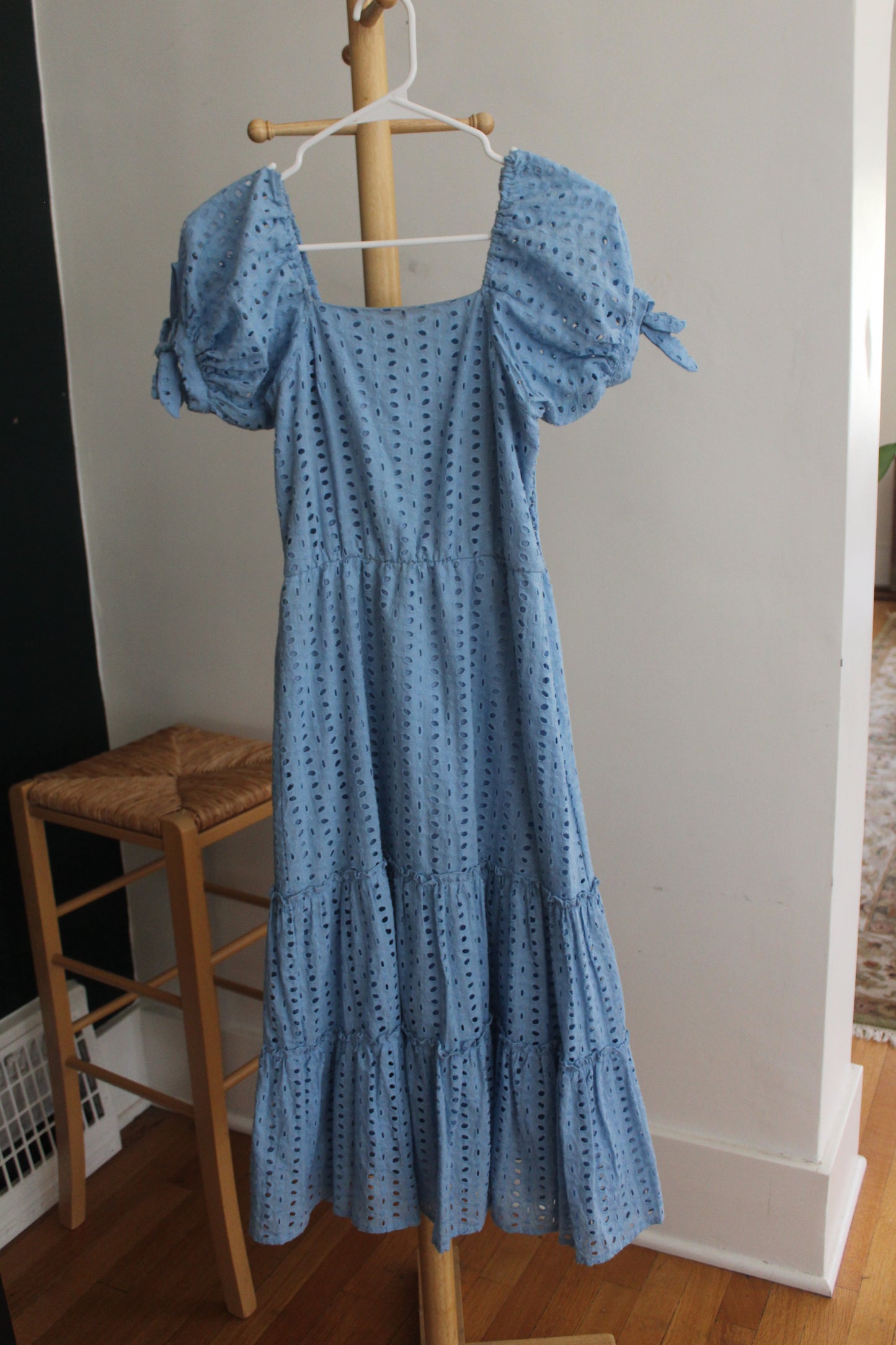 Blue Picnic Dress