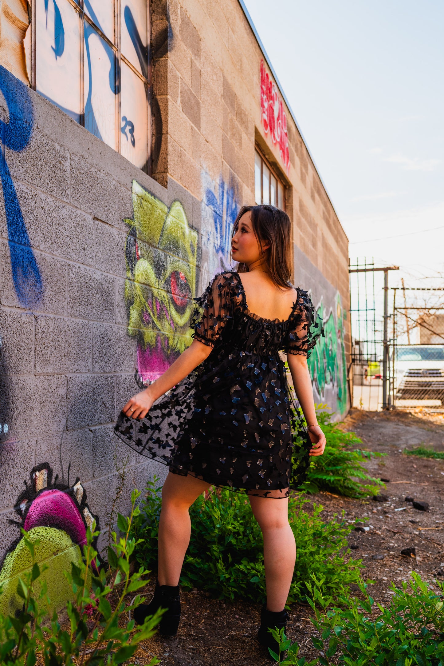 Black Butterfly Dress