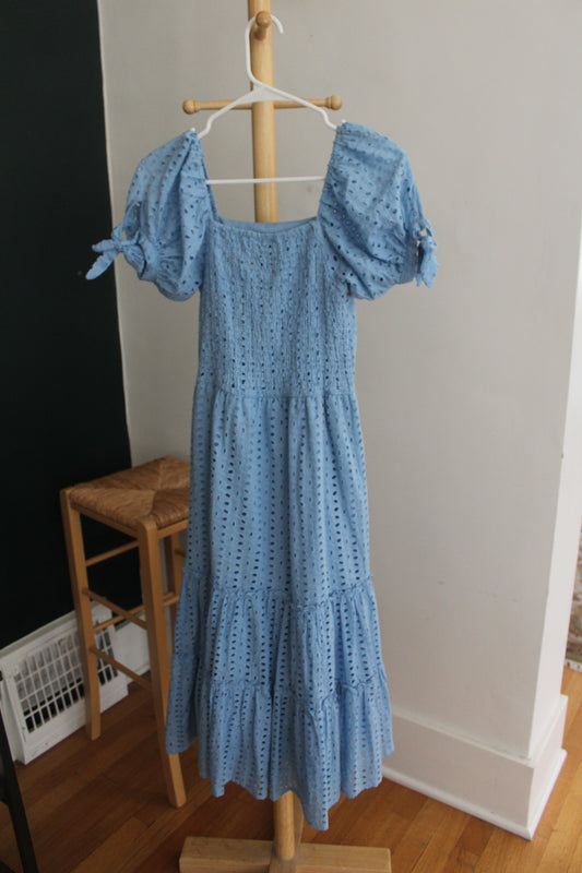 Blue Picnic Dress