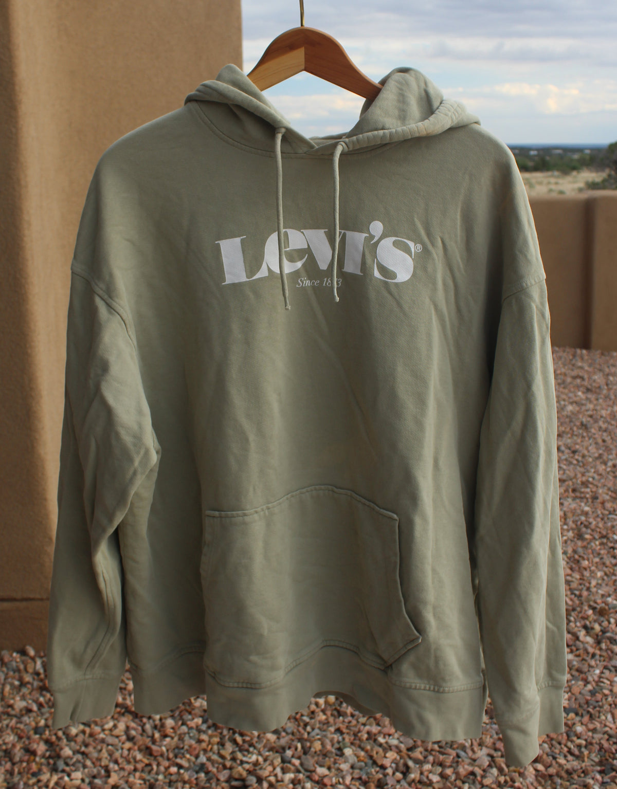 Sage Green Levi's Hoodie