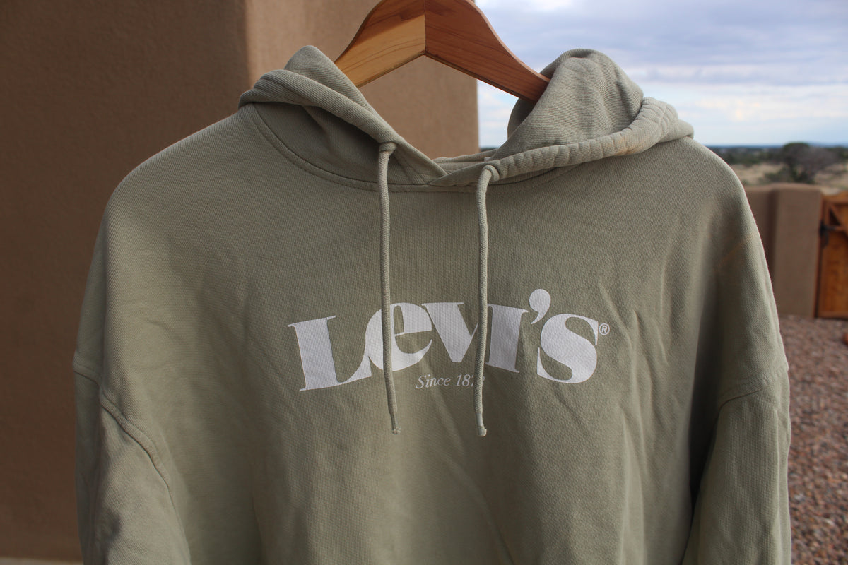 Sage Green Levi's Hoodie